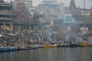 DSC_1517